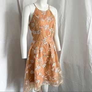 The clothing company Radcliffe” Nude high low Embroidered Dress / NWT